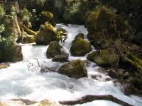 Albums/20060200-New Zealand 2006/20060210-Te Anau to Milford/29
